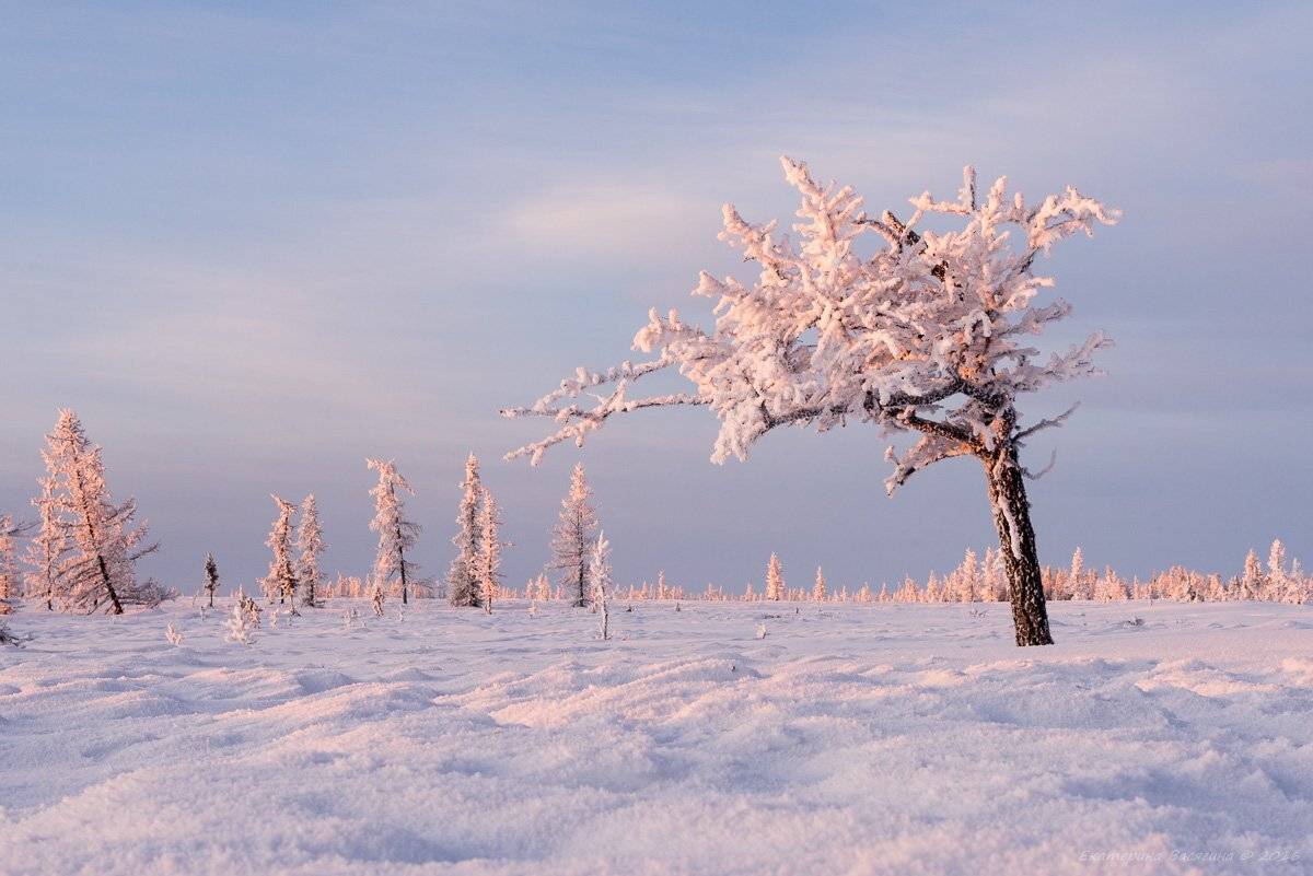 ямал, зима, мнег, Екатерина (PhotoJourneys.ru) Васягина