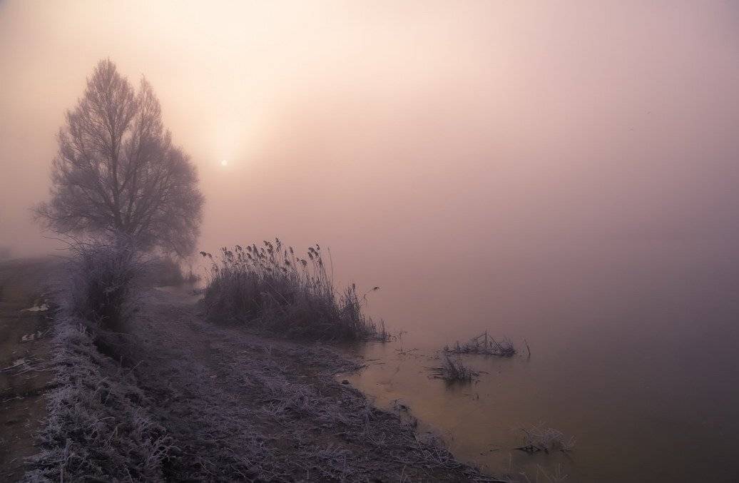 , Вячеслав Мищенко