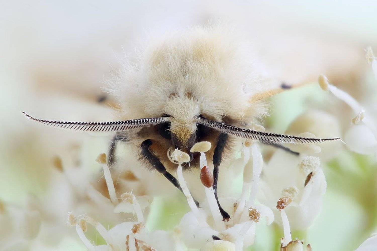 , Сергей Таланов