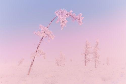 Сумеречная туманность