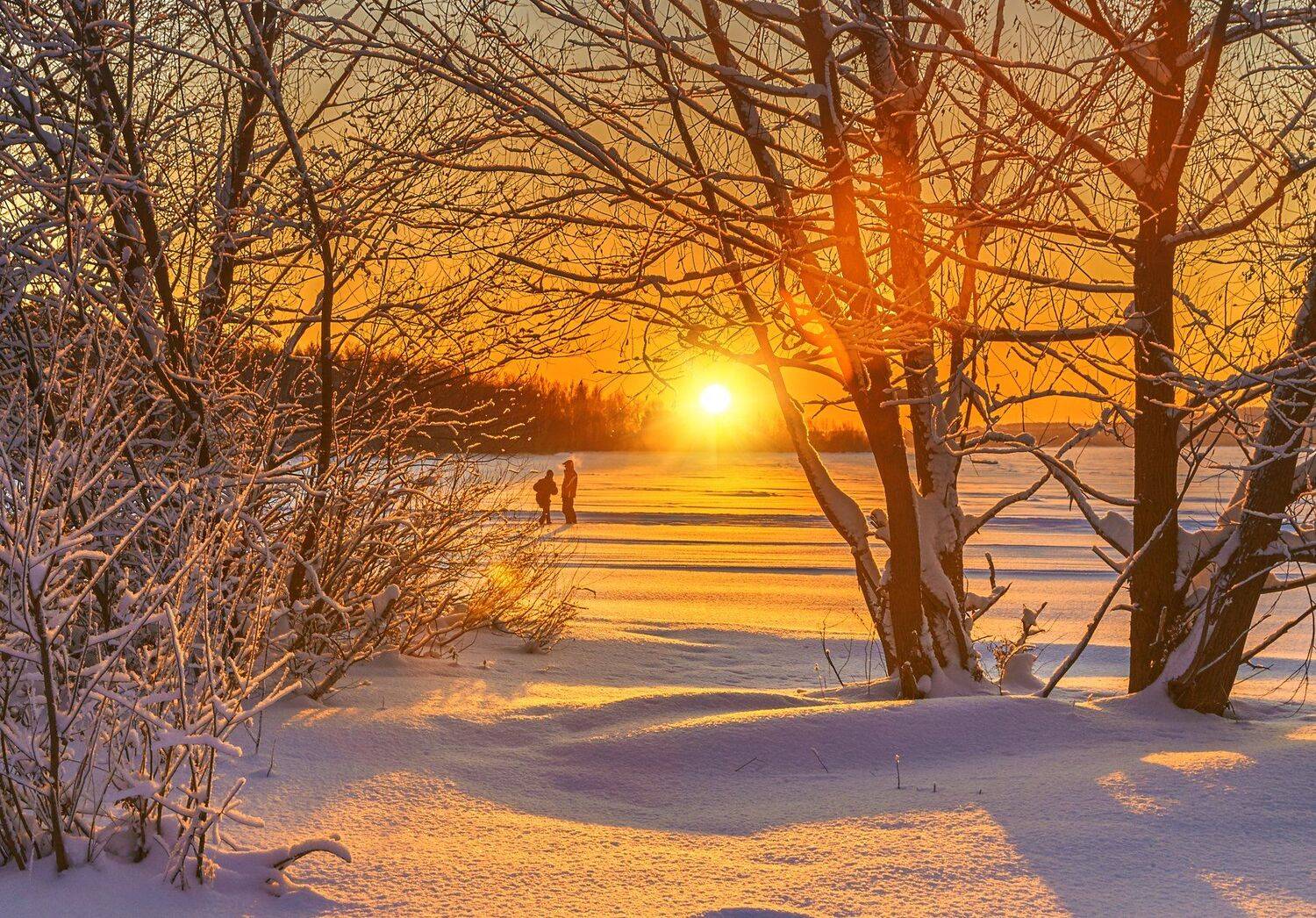 , Олег Богданов