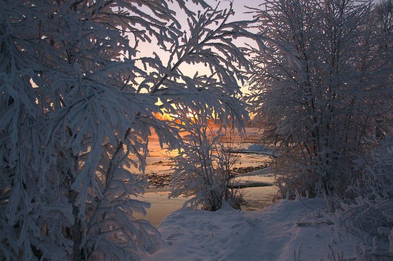 Тропинка к реке фото превью