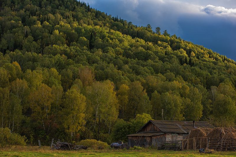 алтай  фото превью