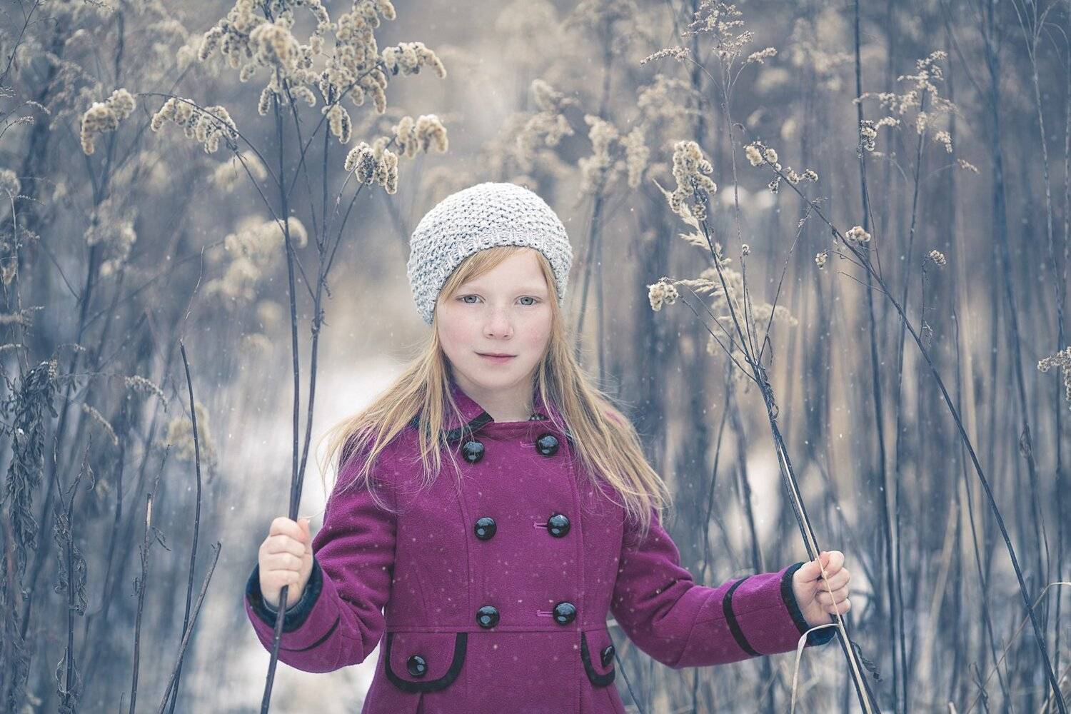 , Maciej Mogielnicki