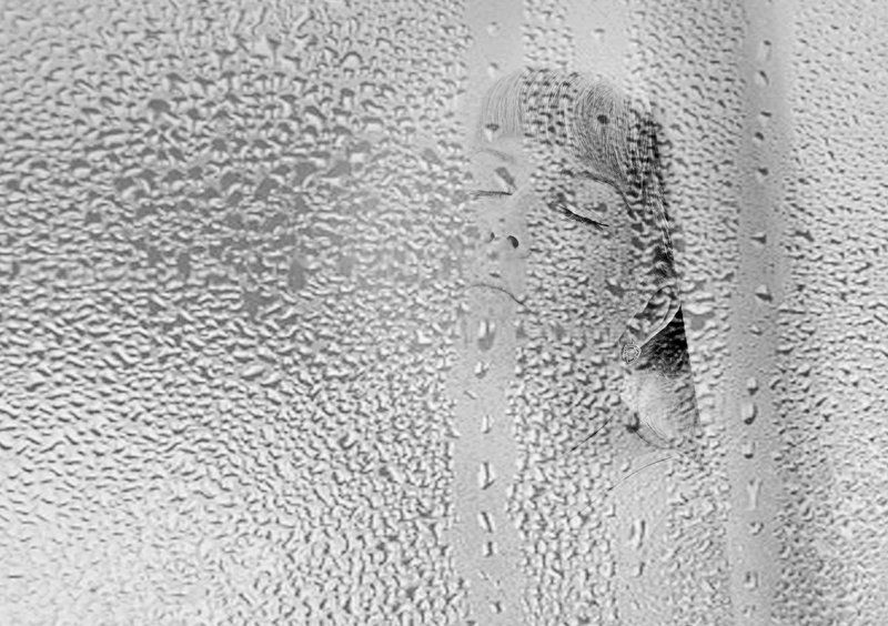 девушка,черно-белое фото Автопортрет фото превью