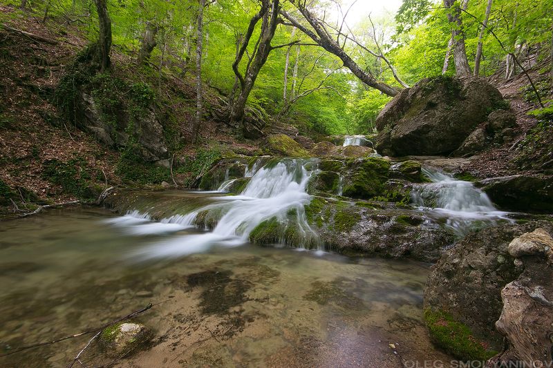 водопад река лес пейзаж  фото превью