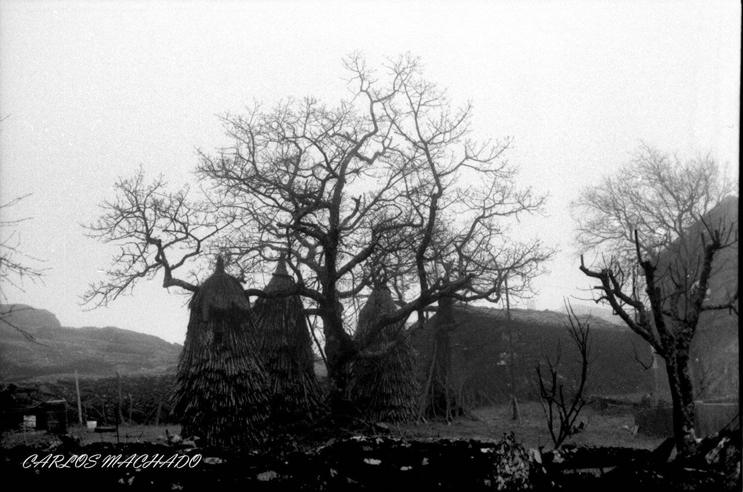black & white, landscape, nature, travel, other, rural, village,, Carlos Machado