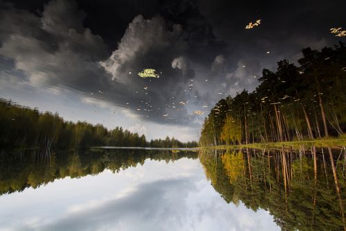 Реальный мир в отражении