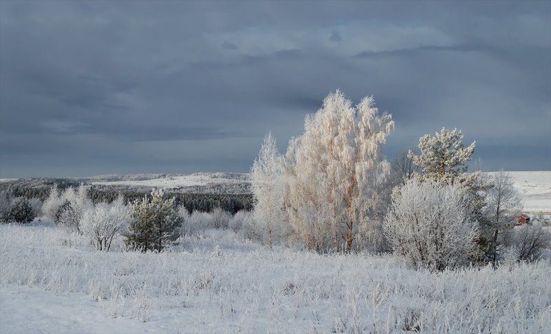 Зима, Небо, Панорама, Пейзаж, Природа ...был сильный мороз... фото превью
