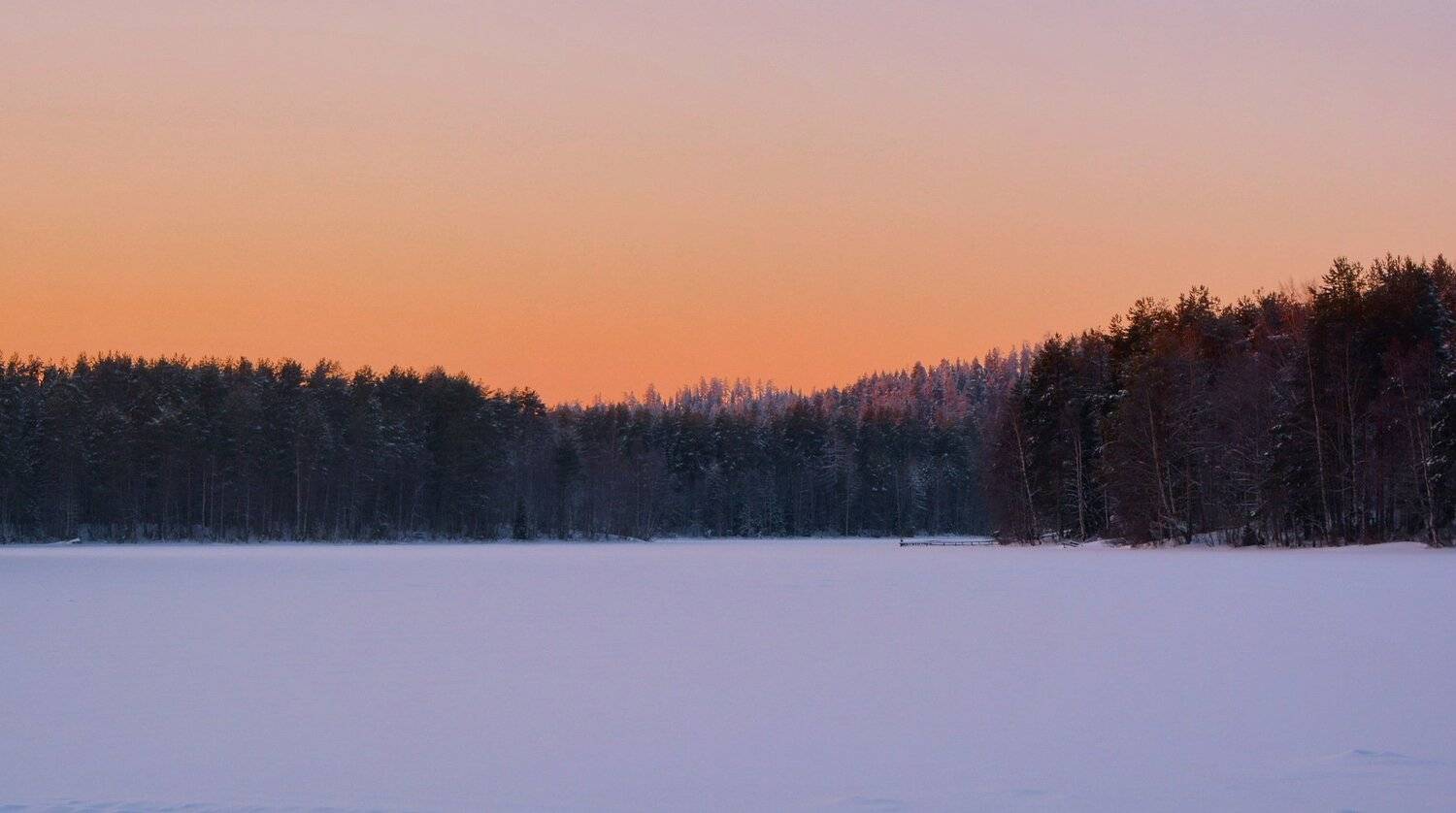 , Марина Никулина