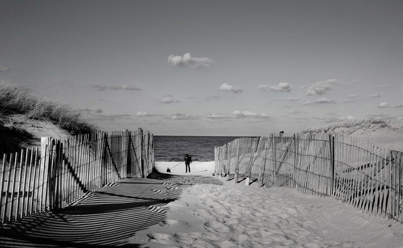 с кляксой на поводке фото превью