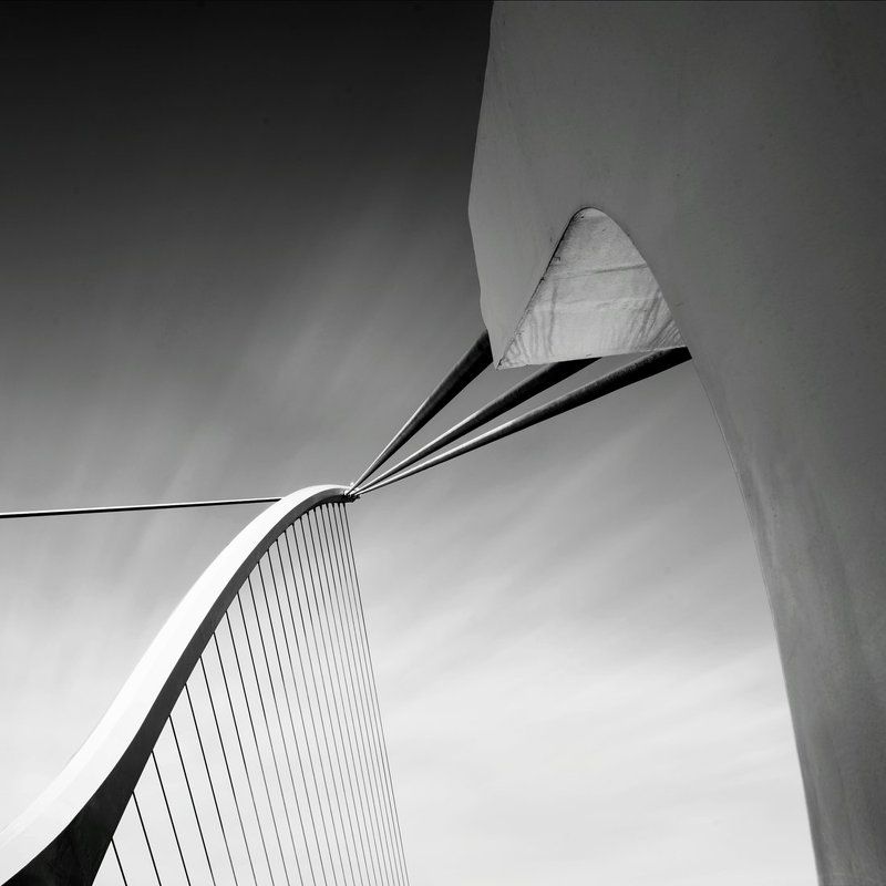 Harp фото превью