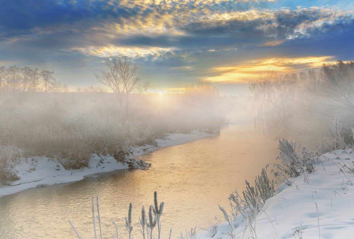 , Олег Богданов