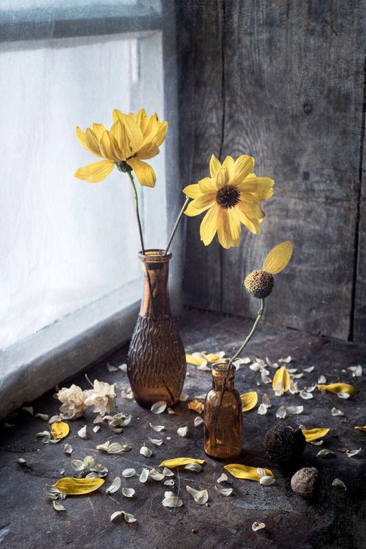 натюрморт, осень, окно Жёлтая осень фото превью