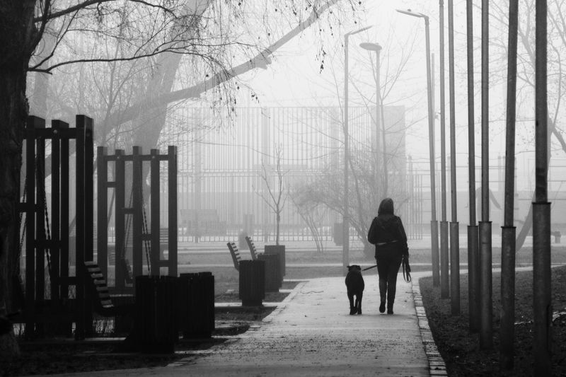 Прогулка в ста столбах фото превью