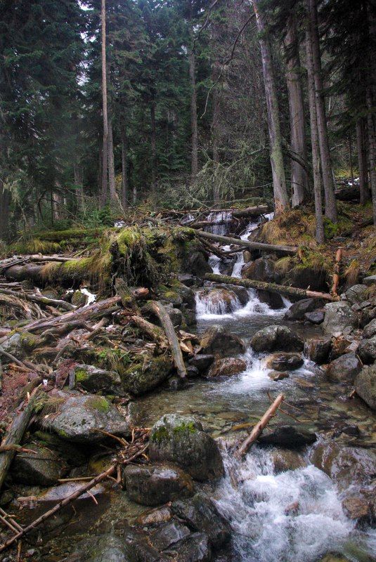 архыз Белая ... фото превью