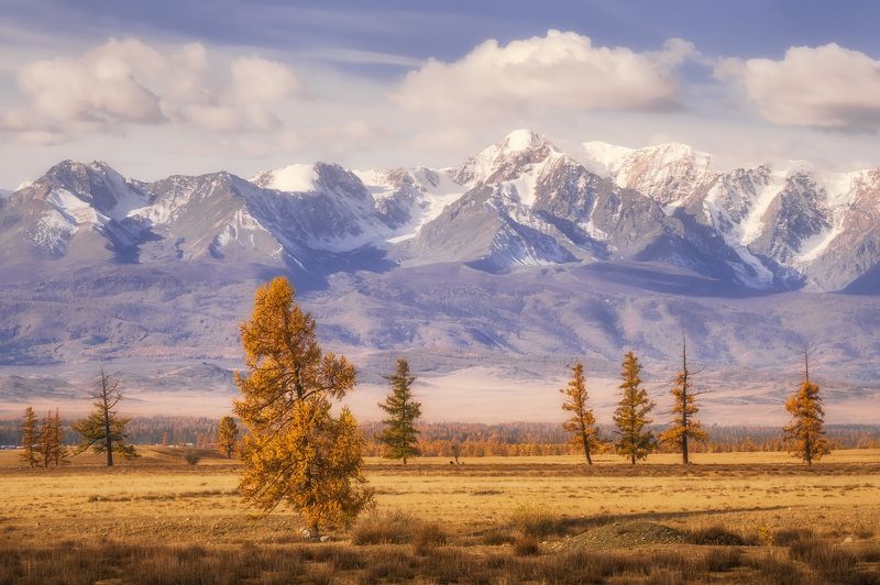 На окраине Курая фото превью
