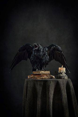 Вещий ворон (Prophetic Raven)