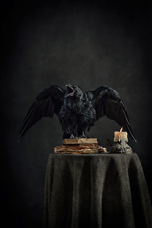 Вещий ворон (Prophetic Raven) фото превью