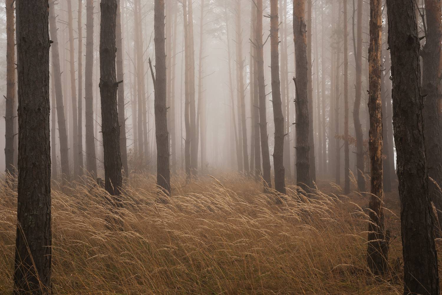 , Захаров Дмитрий