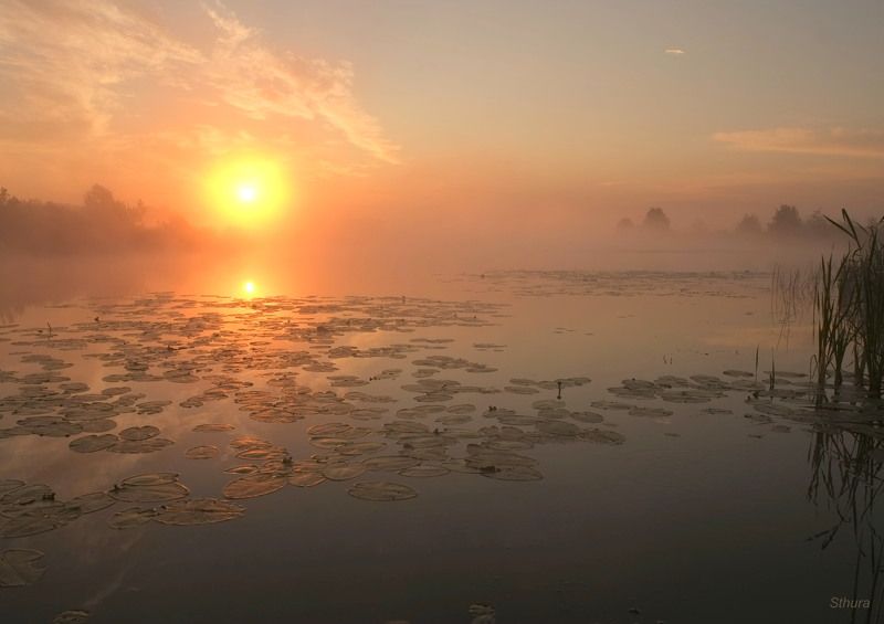 Рассвет на озере. фото превью