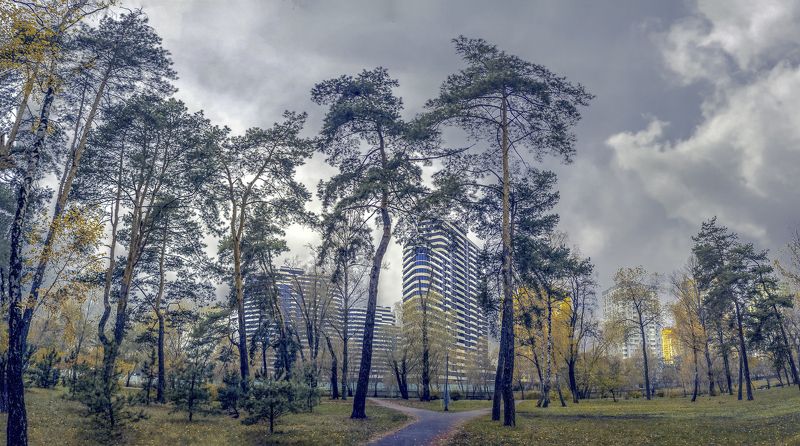 near by November фото превью