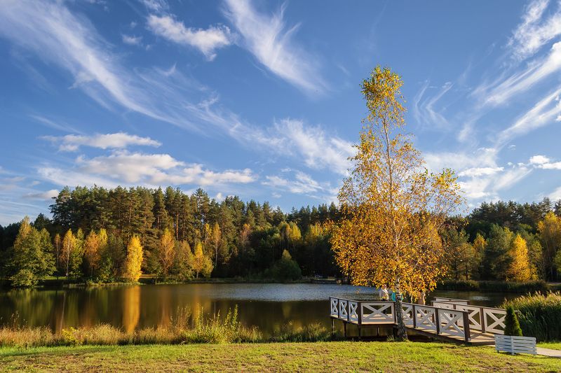 осень небо облака пейзаж листья  фото превью