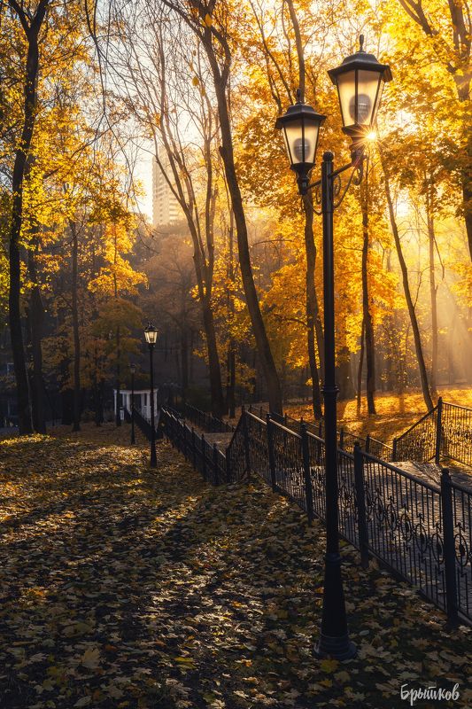 Платоновский парк. Тула. Октябрь. фото превью