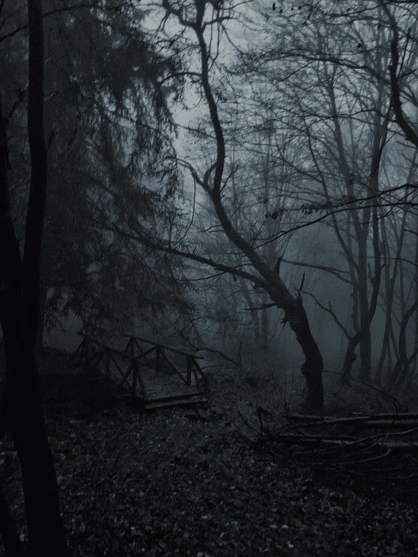 Ночной пейзаж фото превью