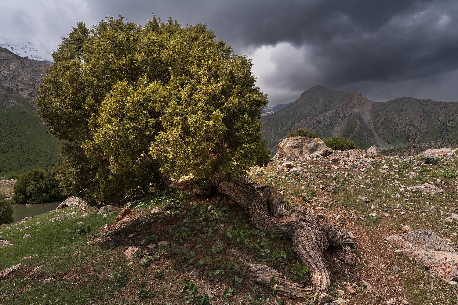 таджикистан, алаудин, озеро, фаны, фанские горы, пейзаж, горы, Нерозя Александр