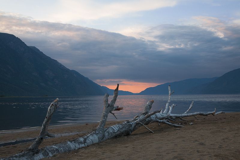 алтай, телецкое озеро. Алтай. Вечер Телецкого озера. фото превью