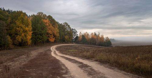 Дорога в осень