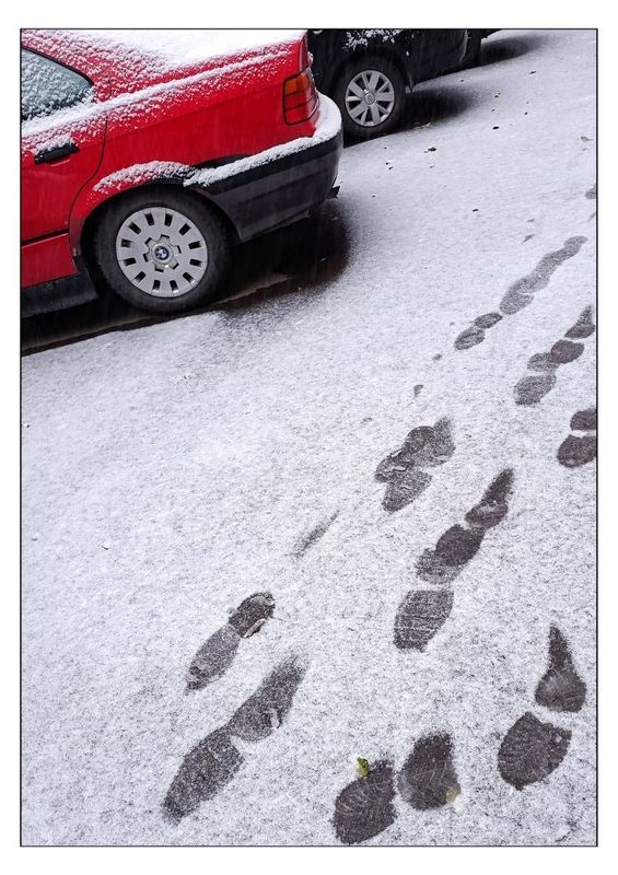 красный след новой зимы  фото превью