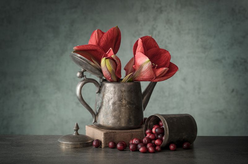 Амарилис фото превью