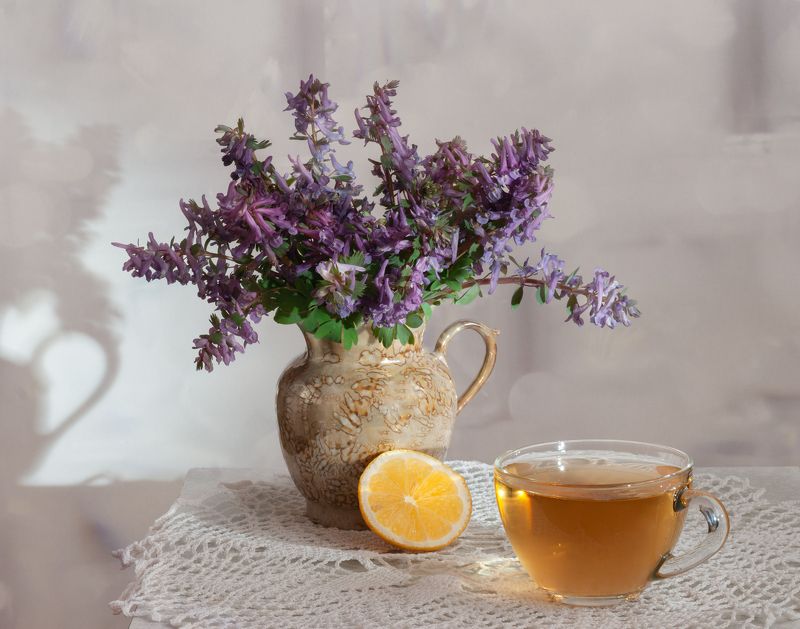 С первоцветами фото превью