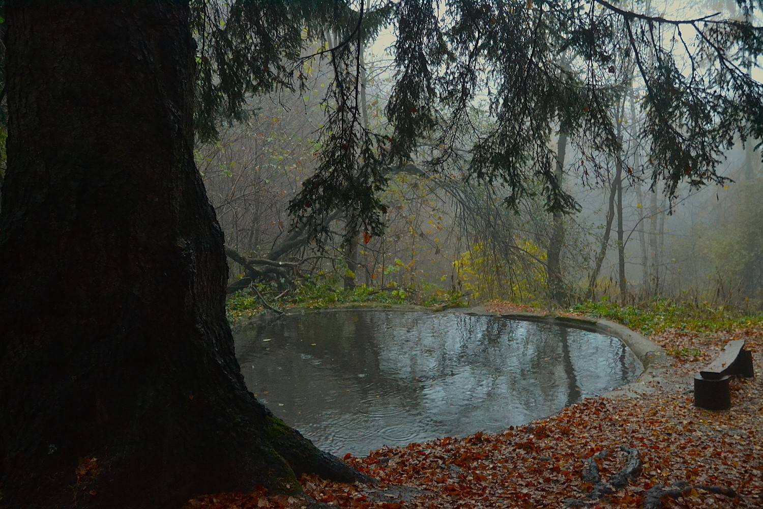 , Юлияна Стоянова