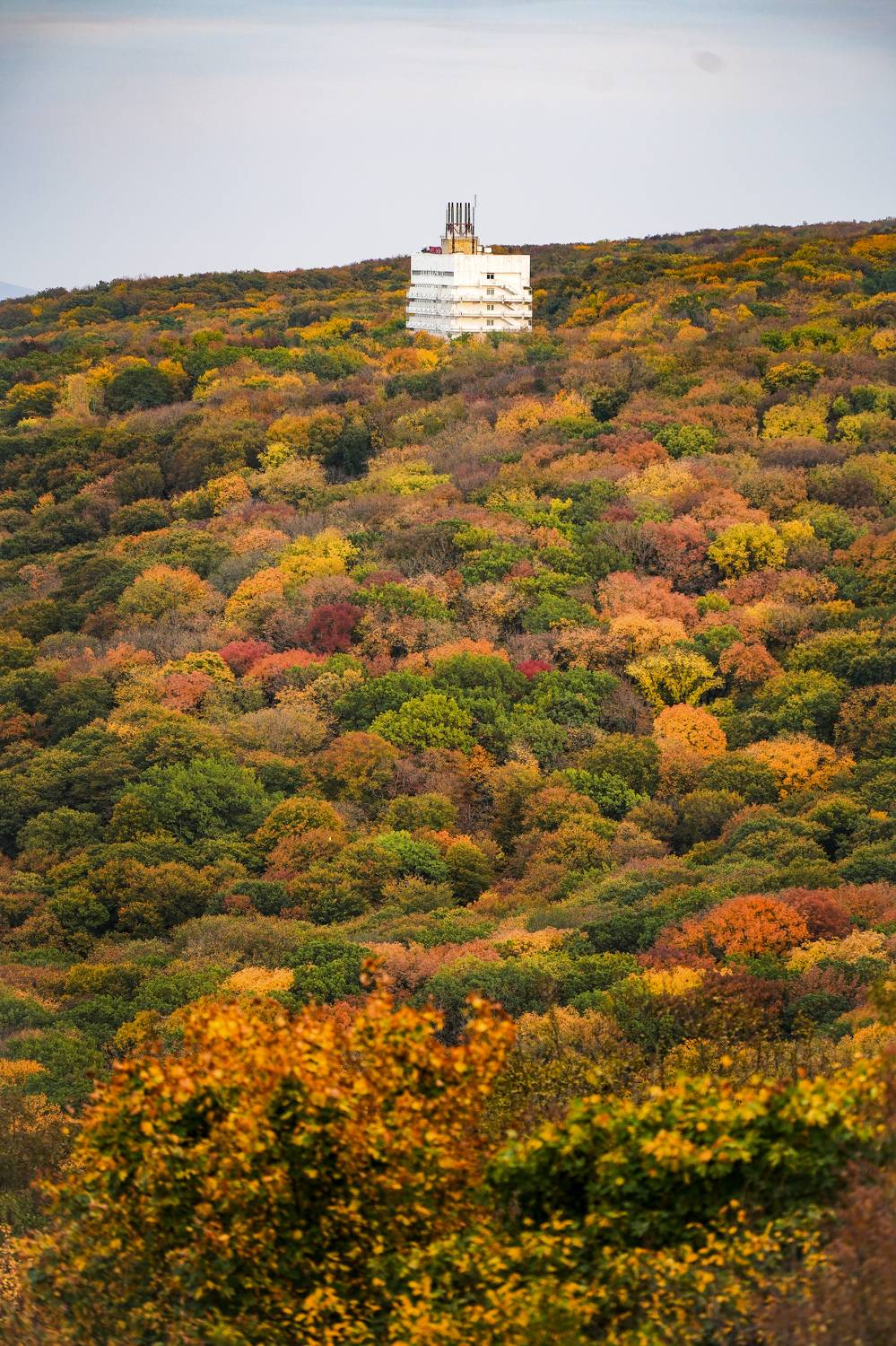 осень, золотая осень, Железноводск, Светлана Зимина