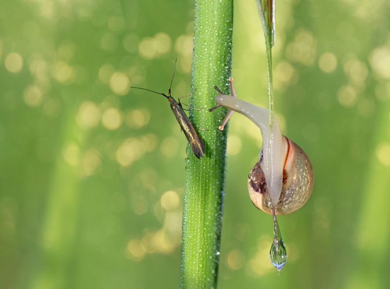 *Хочу напоить тебя чистой водой... фото превью