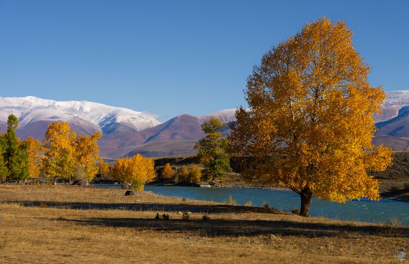 алтай Чуйские краски фото превью