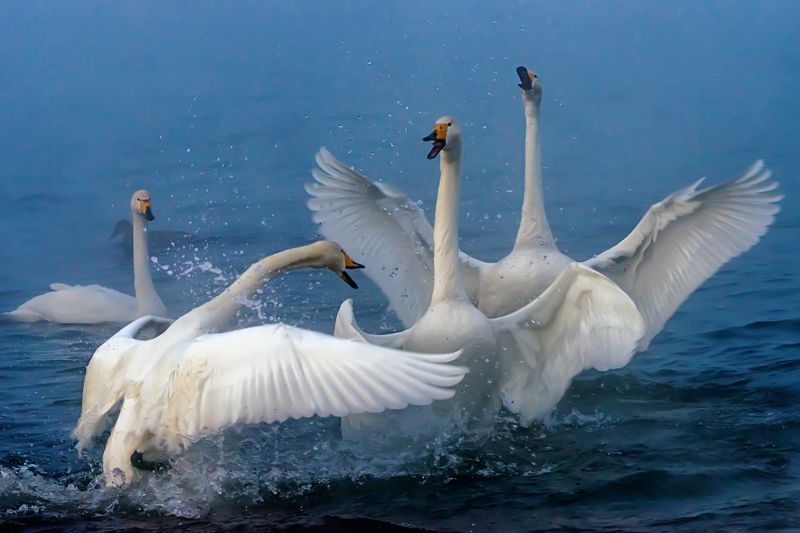 Серьезный разговор фото превью