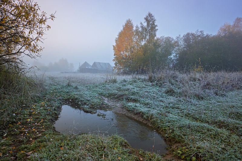 Торбеево Первые заморозки... фото превью