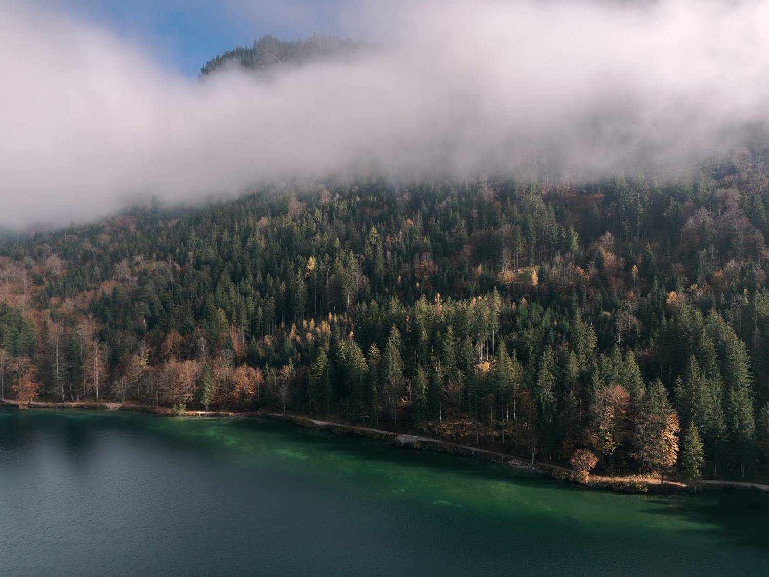 , Шимаковский Юрий