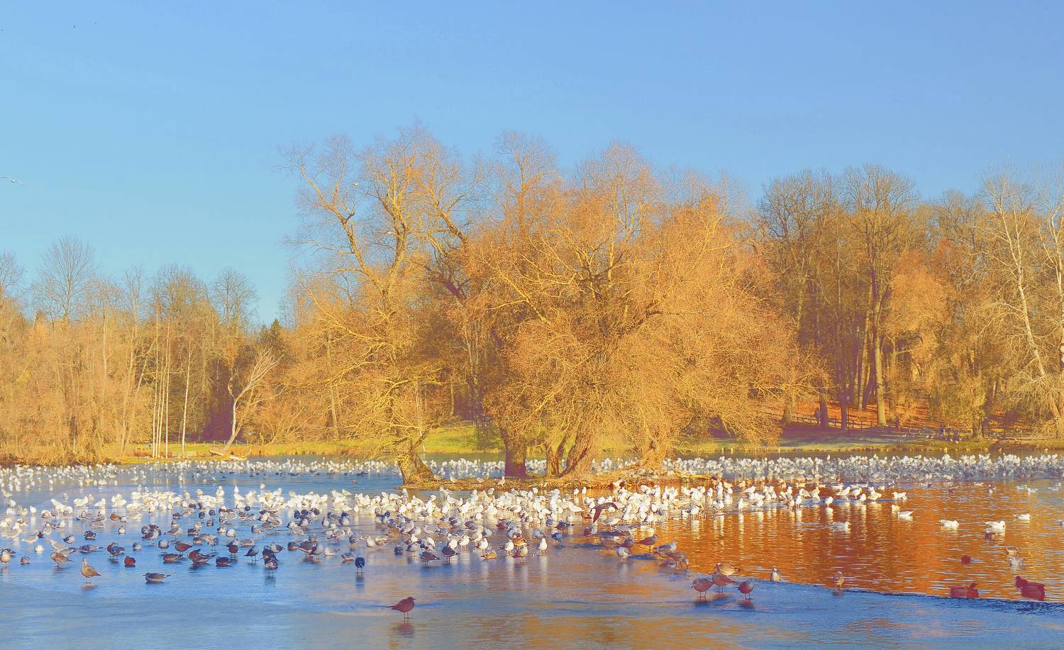 , Хагалас Мириам