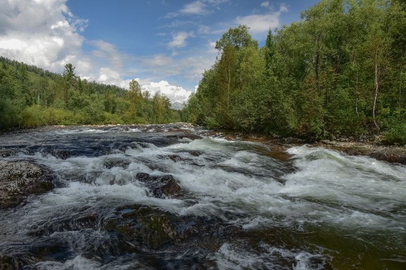 россия, хакасия, лето, порог, казыр, вода, деревья, лес Порог на Малом Казыре фото превью