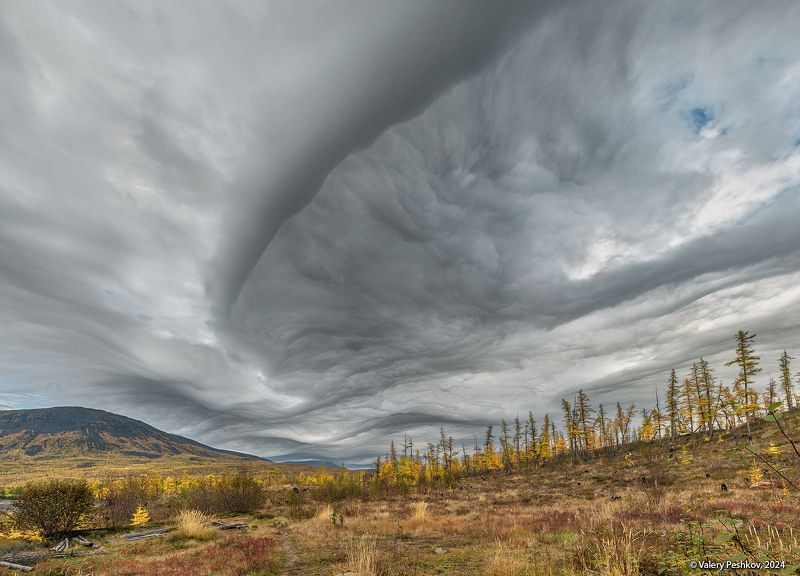 плато путорана, осень, облака, необычные облака, лиственницы, курейка, таймыр, заполярье, база коваля, владимир коваль Кажется, дождь собирается?) фото превью