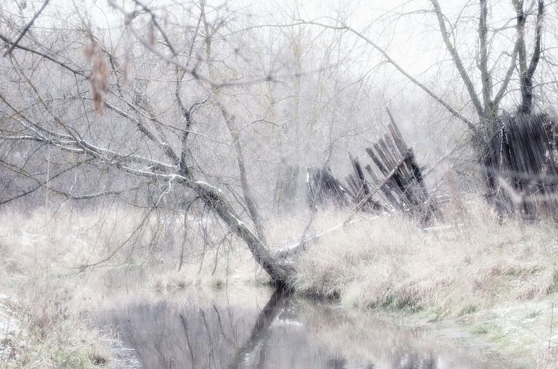 Прогулка по реке... фото превью