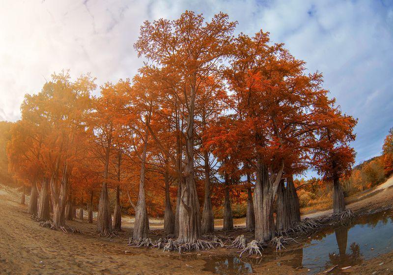 Кипарисовое озеро,Сукко,Анапа фото превью