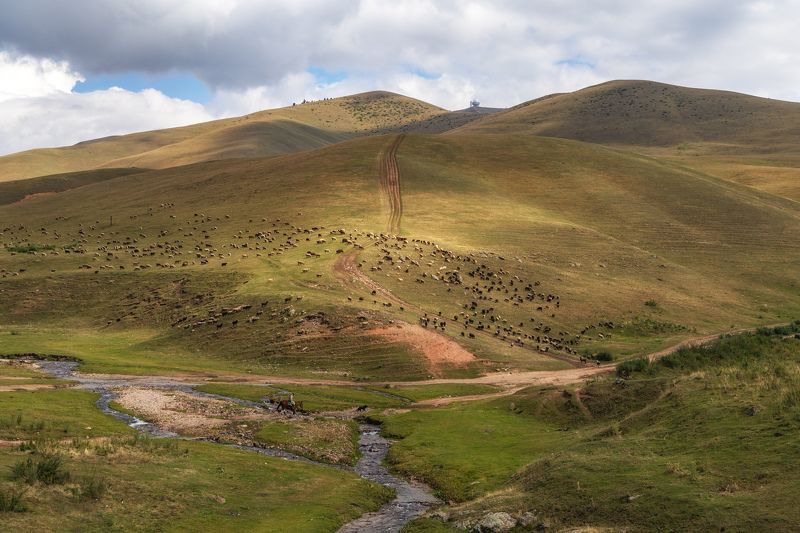 Плато Ассы фото превью