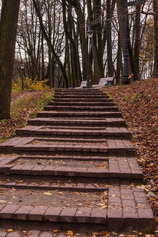 Лестница в осень фото превью