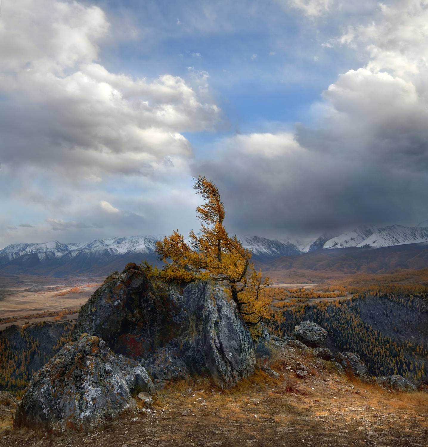 алтай, осень,  горы,  северо-чуйский хребет, Светлана Крат